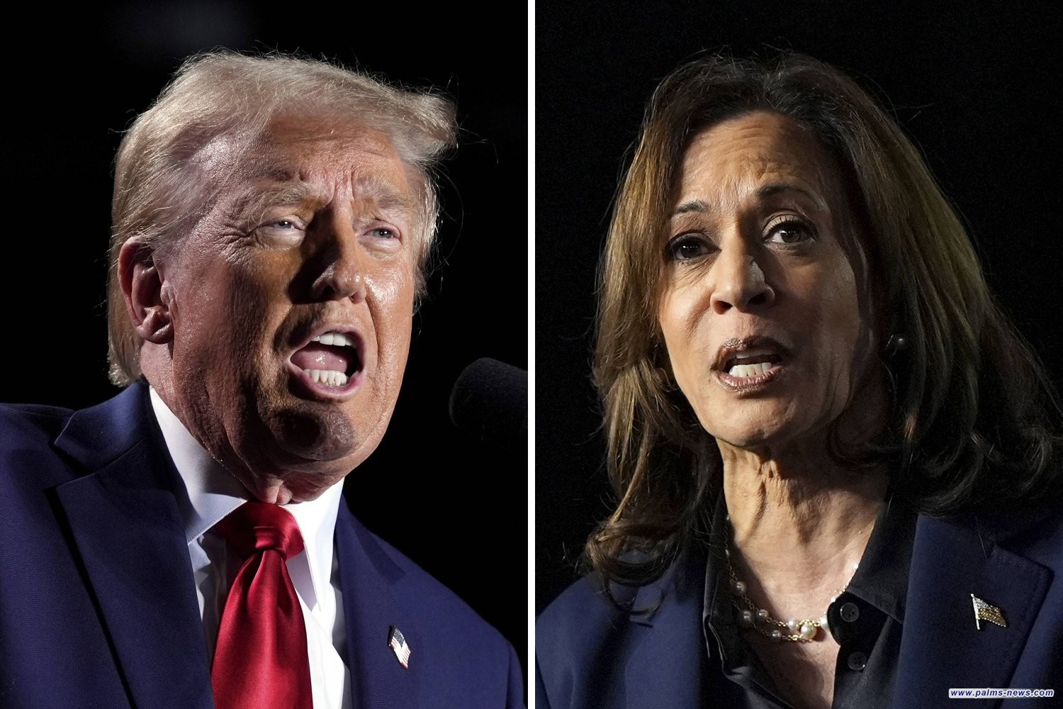 ترمب: الرئيس الصيني سيتعامل مع هاريس "كطفلة"